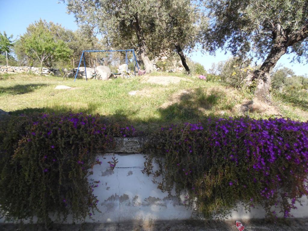 Villa L'Oleandro Oliena Eksteriør billede
