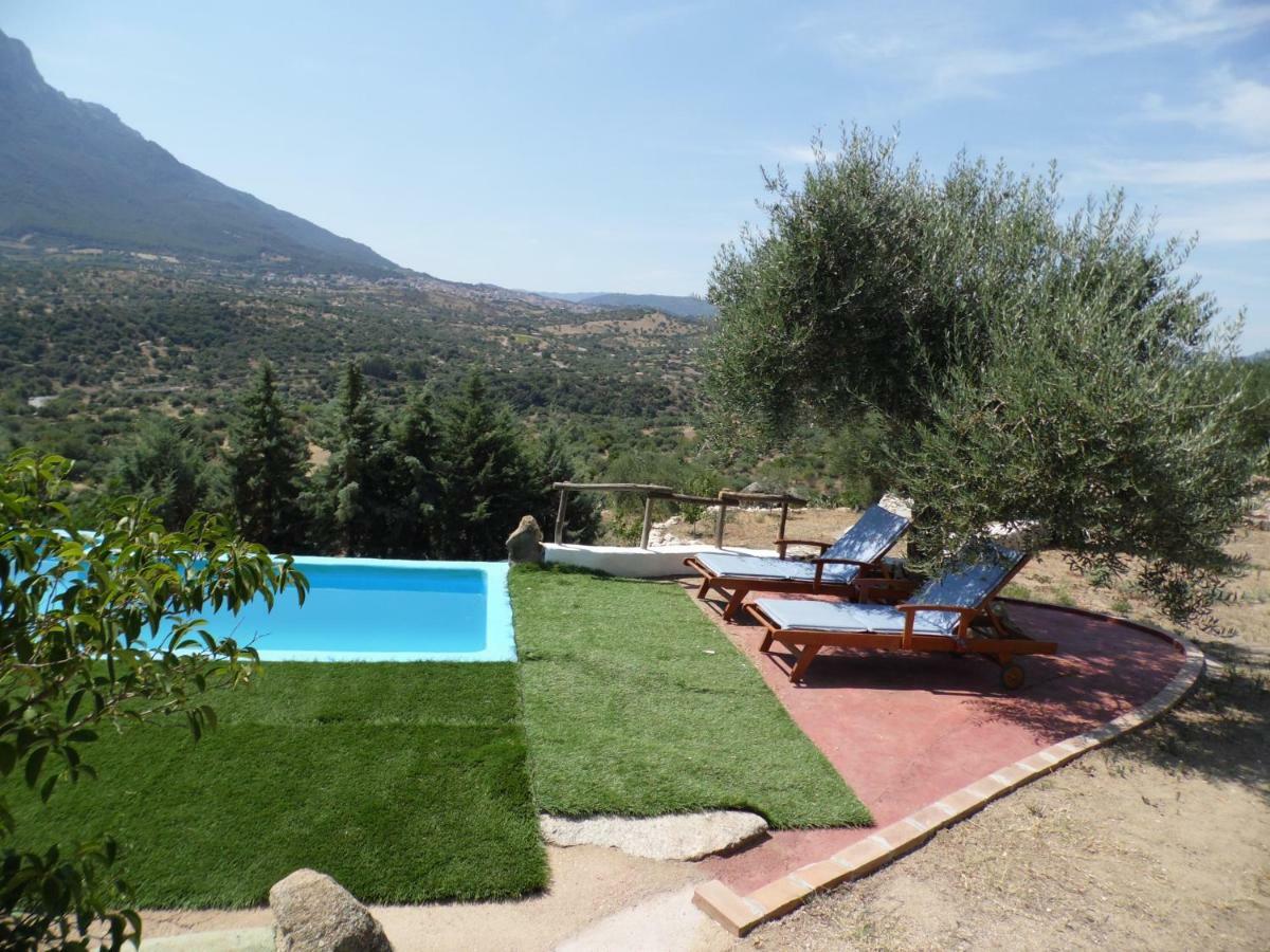 Villa L'Oleandro Oliena Eksteriør billede
