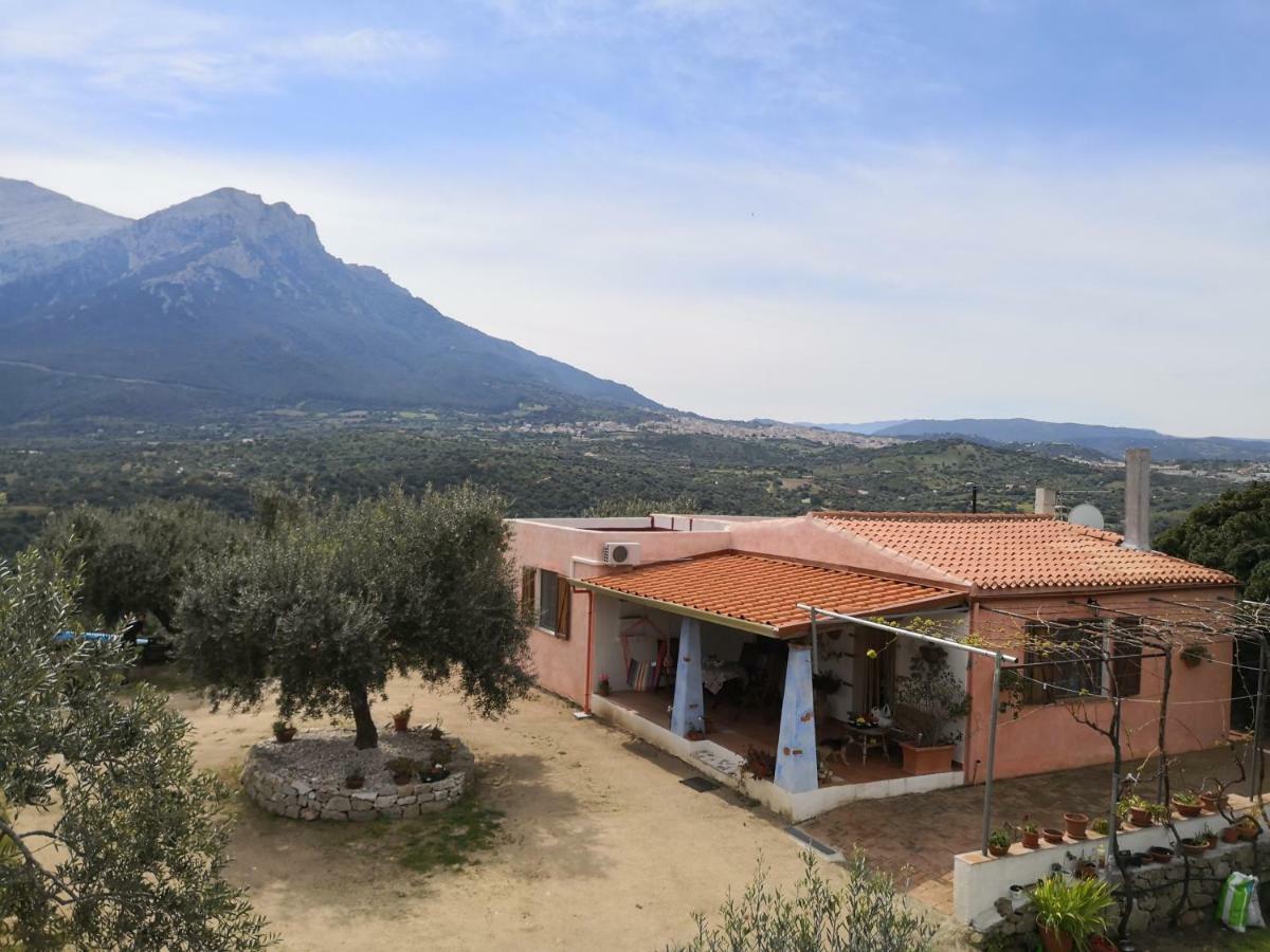 Villa L'Oleandro Oliena Eksteriør billede