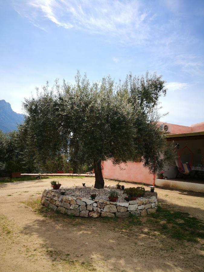 Villa L'Oleandro Oliena Eksteriør billede