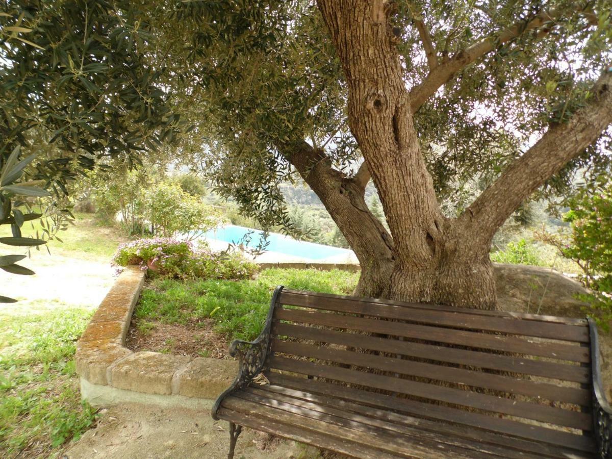 Villa L'Oleandro Oliena Eksteriør billede