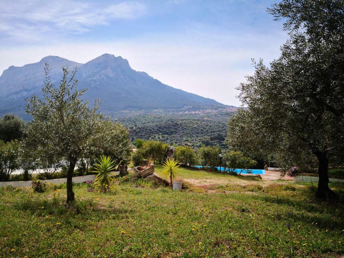 Villa L'Oleandro Oliena Eksteriør billede