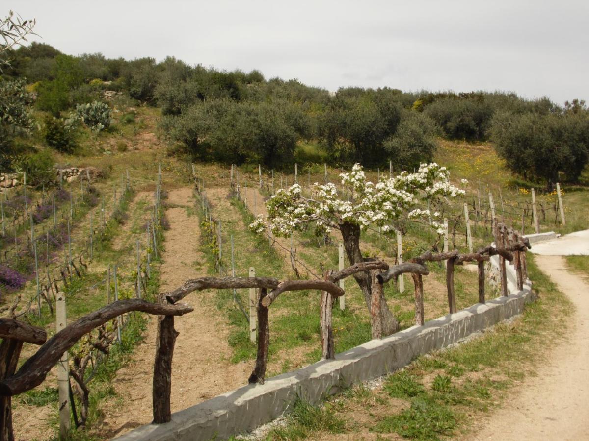 Villa L'Oleandro Oliena Eksteriør billede